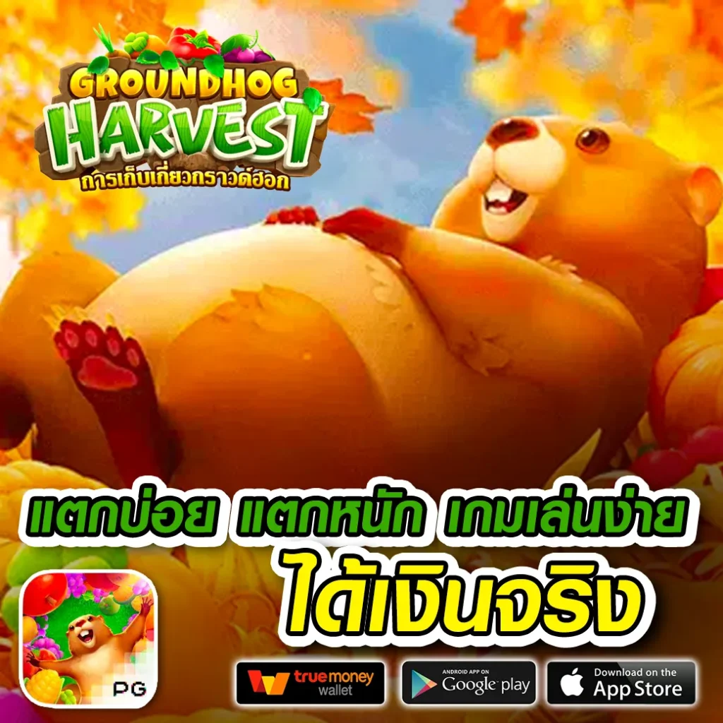 คาสิโน max 88